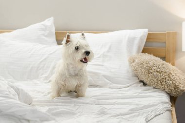 Beyaz batı teriyeri yatağın içinde yastıklar var.