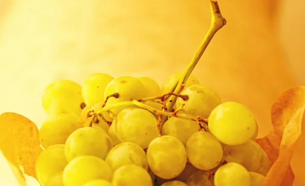 Banda Białych Winogron Papierowej Torbie Nadającej Się Recyklingu — Zdjęcie stockowe