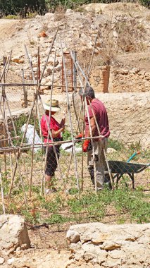 Llorens del Penedes, Bajo Panadları, Tarragona, Katalonya, İspanya, Avrupa 'nın Kilisesi ve Kalesi