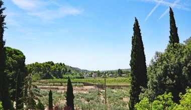 Tarragona, Katalunya, İspanya ve Avrupa 'daki Les Santes Creus Manastırı