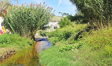El Vendrell, Tarragona, Katalunya, İspanya, Avrupa 'daki Riera de la Bisbal