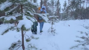 Kış ormanlarında mutlu aile yürüyüşleri. Anne çocuğu eliyle tutuyor. Beyaz karla kaplı orman. Karlı doğada tatil. Annem çocuklarıyla vakit geçiriyor.