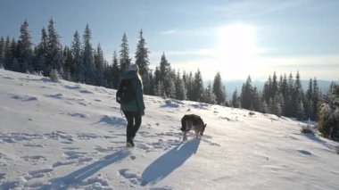 Karların arasında karlar içinde yürüyen köpekli bir kız. Dağlarda kış yürüyüşü. Dağlardaki maceralar