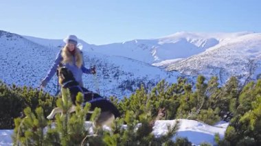 Karların arasında karlar içinde yürüyen köpekli bir kız. Dağlarda kış yürüyüşü. Dağlardaki maceralar