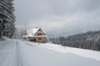 beautiful wooden house standing high in the mountains