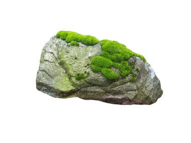 stone covered with moss isolated on white background