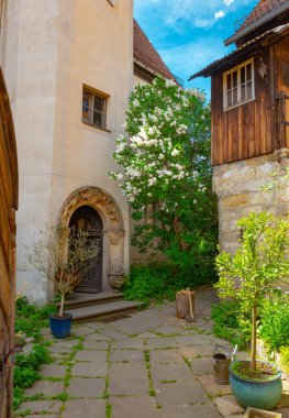 Meissen Almanya 'sında çiçek açan leylak çalıları
