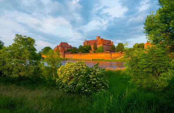 2022 Castello Dei Cavalieri Teutonici Ordine Malbork Polonia Più Grande — Foto Stock