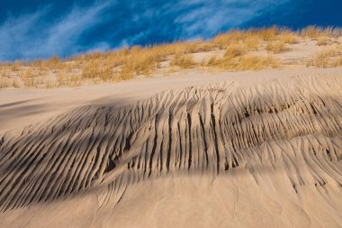 Baltık Denizi kıyısındaki Slowinski Ulusal Parkı 'nın güzel kumul manzarası, Leba. Polonya