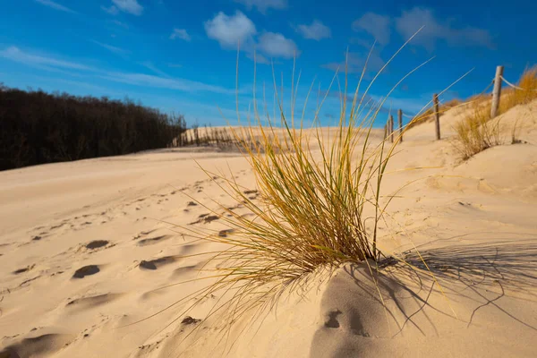 Vackra Sanddyner Slowinski Nationalpark Vid Östersjön Leba Polen — Stockfoto