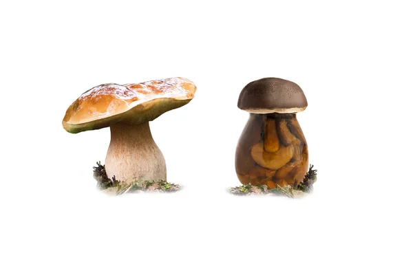 Porcini Mushroom Isolated White Background Jar Canned Mushrooms — Stock Photo, Image