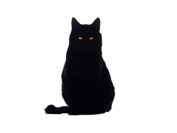 Beyaz Arka Planda Izole Edilmiş Sarı Gözlü Kara Kedi Çizgisi — Stok fotoğraf