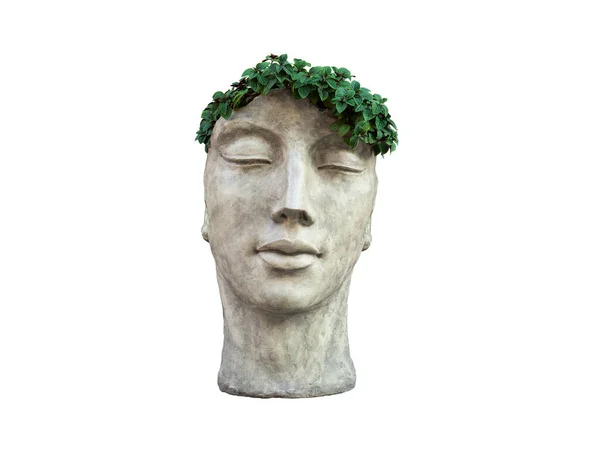 Gips Stå För Blommor Form Ett Mänskligt Ansikte Vit Bakgrund — Stockfoto