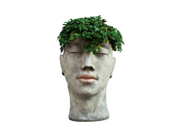 Gips Stå För Blommor Form Ett Mänskligt Ansikte Vit Bakgrund — Stockfoto