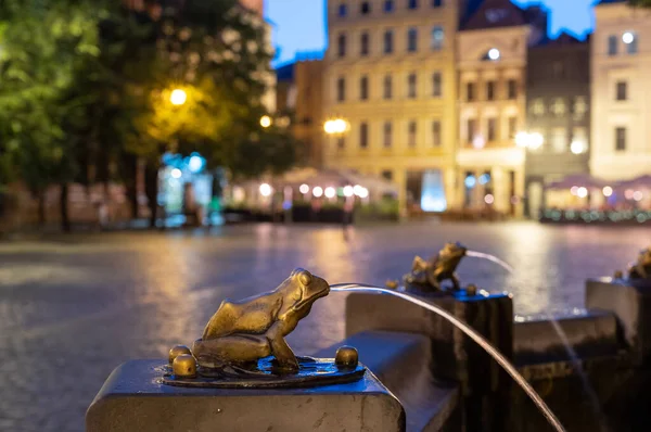 2022 噴水の細部に水を注ぐ青銅の金箔のカエルの彫刻 ポーランドのトルンでの夜 — ストック写真
