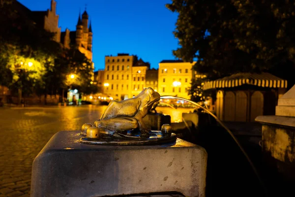 2022年7月4日 青铜镀金青蛙雕塑倒水 详细的喷泉 晚上在波兰托伦 — 图库照片