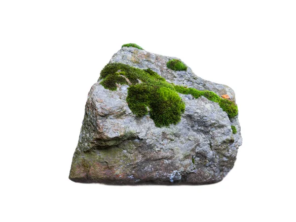 Камень Покрытый Мхом Изолированный Белом Фоне — стоковое фото
