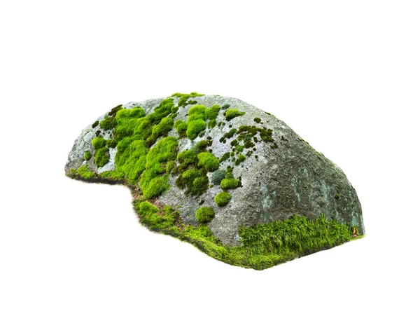 Stone Covered Moss Isolated White Background — Foto Stock