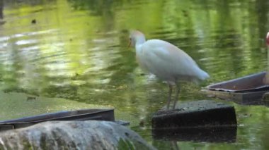 Sel, suların üstünde kabaran bir katre su arıyor.