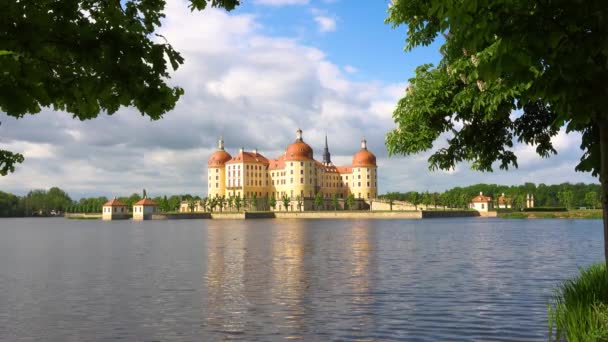 2022 Bela Vista Moritzburg Astle Lado Lago Saxónia Alemanha Gansos — Vídeo de Stock