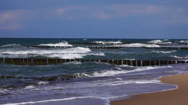 Pobřeží Baltského Moře Bouře Moři Zpomalený Pohyb — Stock video