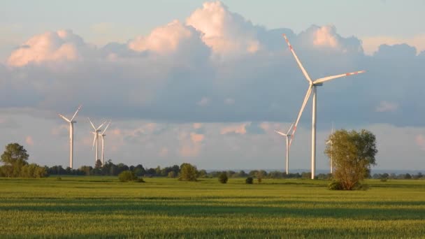 Windparken Tegen Achtergrond Van Wolken Bij Zonsondergang Eco Energie Windturbines — Stockvideo