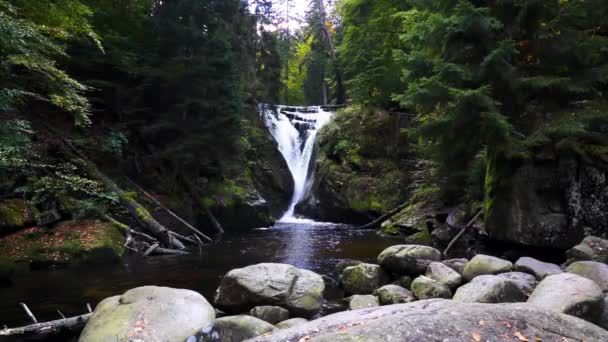 Великий Водоспад Лісі Шведській Порібі Польща — стокове відео
