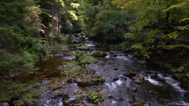 シュクラルスカ ポルバ ポーランドの森の滝 — ストック動画