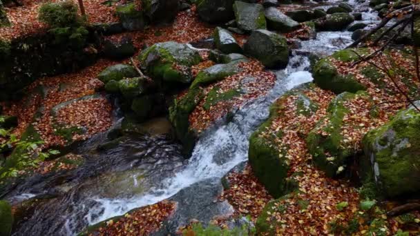 Водоспад Лісі Шведській Порібі Польща — стокове відео