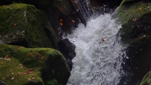シュクラルスカ ポルバ ポーランドの森の大きな滝 — ストック動画