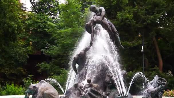 2022 Fontaine Déluge Dans Parc Kazimierz Wielki Bydgoszcz Pologne Ralenti — Video