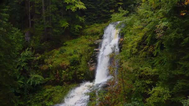 シュクラルスカ ポルバ ポーランドの森の大きな滝 — ストック動画