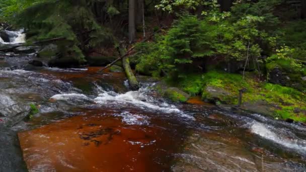 Szklarska Porba Polanındaki Ormanda Şelale — Stok video