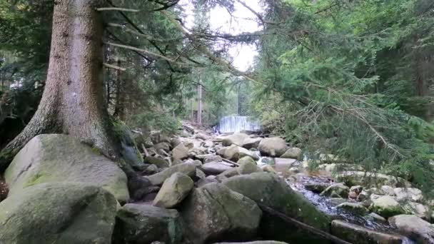 Dağlardaki Lomnica Nehrinde Şelale Karpacz Polonya — Stok video