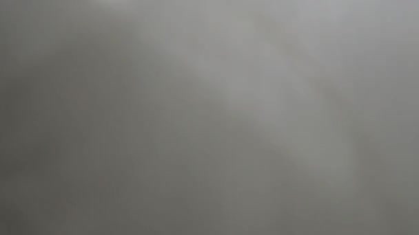 Hermoso Cisne Blanco Nada Lago Día Niebla — Vídeos de Stock