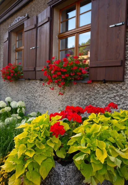 Beautiful Flowers Background Windows House — Stock Photo, Image