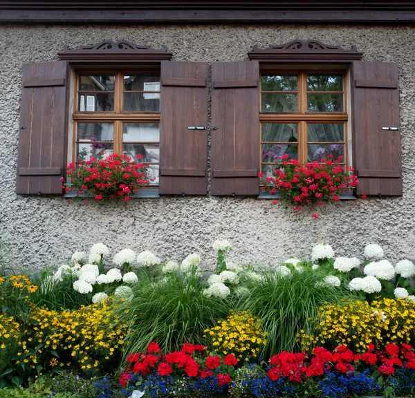 Bellissimi Fiori Sullo Sfondo Delle Finestre Della Casa — Foto Stock