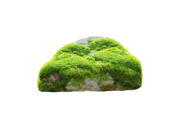Stone Covered Moss Isolated White Background — Stockfoto