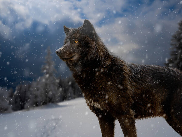 Портрет канадского волка в снежную погоду
.