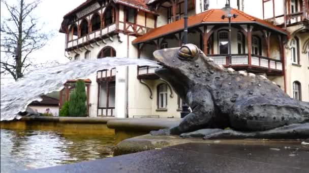 Çeşmenin Yanında Bir Kurbağa Heykeli Swieradow Zdroj Polonya — Stok video