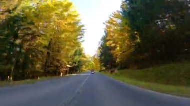 Ormanda asfalt yol. Renkli yaprak döken ağaçlar. Düşen yapraklar. Muhteşem sonbahar bakışı. Szklarska Poreba. Polonya.