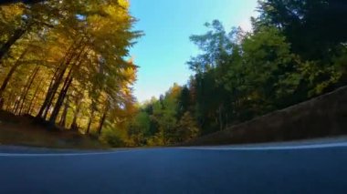 Ormanda asfalt yol. Renkli yaprak döken ağaçlar. Düşen yapraklar. Muhteşem sonbahar bakışı. Szklarska Poreba. Polonya.