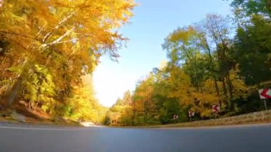 Ormanda asfalt yol. Renkli yaprak döken ağaçlar. Düşen yapraklar. Muhteşem sonbahar bakışı. Szklarska Poreba. Polonya.