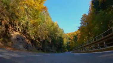 Ormanda asfalt yol. Renkli yaprak döken ağaçlar. Düşen yapraklar. Muhteşem sonbahar bakışı. Szklarska Poreba. Polonya.
