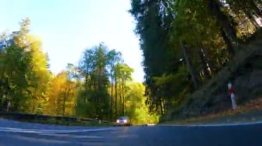 Ormanda asfalt yol. Renkli yaprak döken ağaçlar. Düşen yapraklar. Muhteşem sonbahar bakışı. Szklarska Poreba. Polonya.