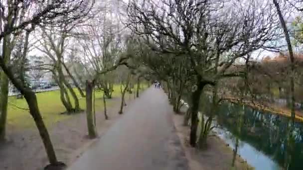 Rok 2023 B2023 Pięknych Drzew Gdańskim Parku Oliwskim Czas Warpeautiful — Wideo stockowe