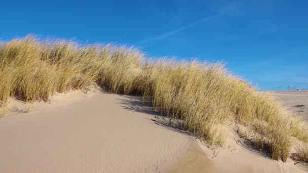 在波兰Leba的Slowinski国家公园的沙漠中移动沙丘 慢动作 — 图库视频影像