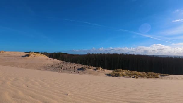 Dune Mobili Nel Deserto Nel Parco Nazionale Slowinski Leba Polonia — Video Stock