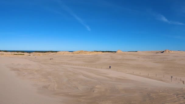 Переміщення Дюн Пустелі Національному Парку Слов Янський Лебі Польща Проміжок — стокове відео