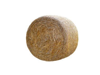 beyaz arkaplanda kuru yuvarlak balya izole